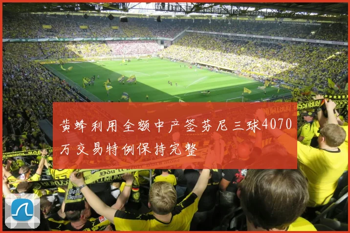 黄蜂利用全额中产签芬尼三球4070万交易特例保持完整