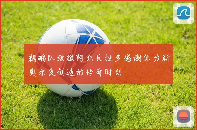 鹈鹕队致敬阿尔瓦拉多感谢你为新奥尔良创造的传奇时刻
